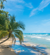 2-Month San José Tour Package